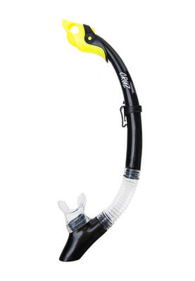 Schnorchel Great Barrier Reef