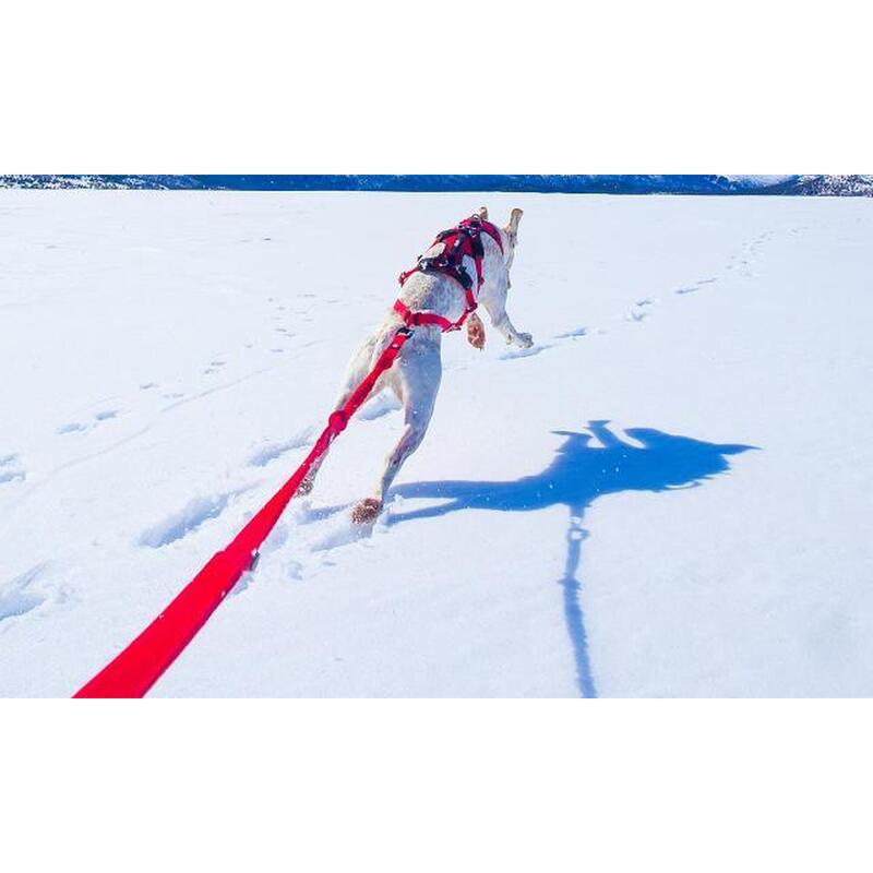 Longe de traction CONFORT TREK pour canirandonnée, canitrail