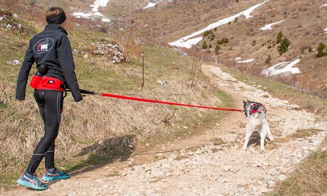 Longe de traction polyvalente réglable pour chien CONFORT TREK canirando 6/8