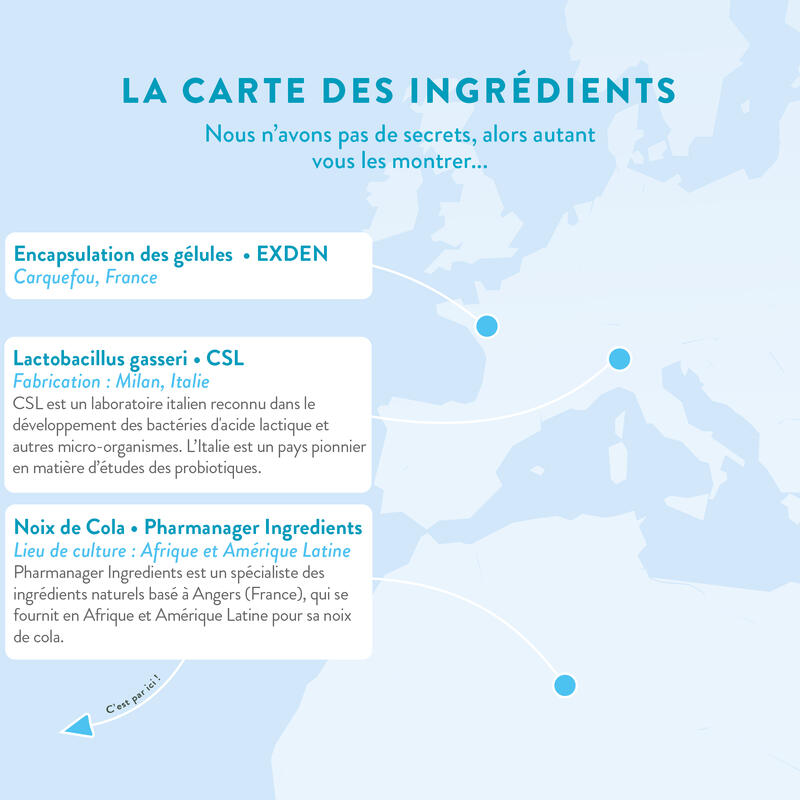 Lactobacillus Gasseri - Digestion Minceur et Ventre plat - 60 gélules