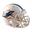 Riddell Speed Mini Casque Club Dolphins