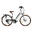Elektrische damesfiets, Britt, 49 cm, 7 sp, 13 Ah, dry green