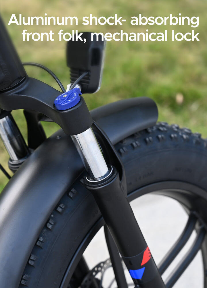 Bicicleta Electrica Plegable Engwe ENGINE X 250W 2/7