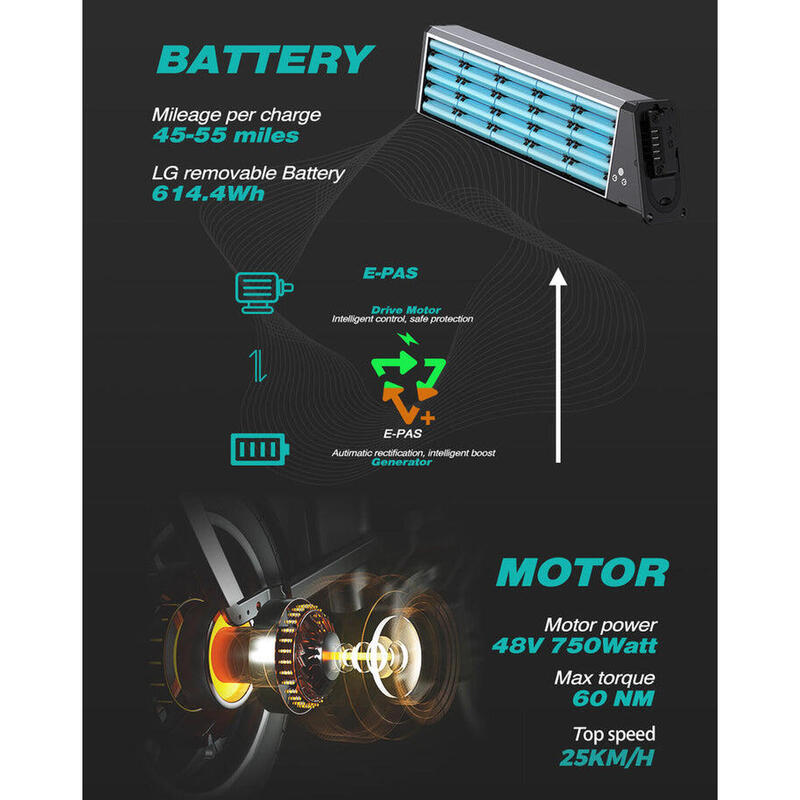 Bicicleta eléctrica dobrável Engwe ENGINE PRO 250W