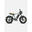 FAT E-BIKE ENGWE M20 750W G