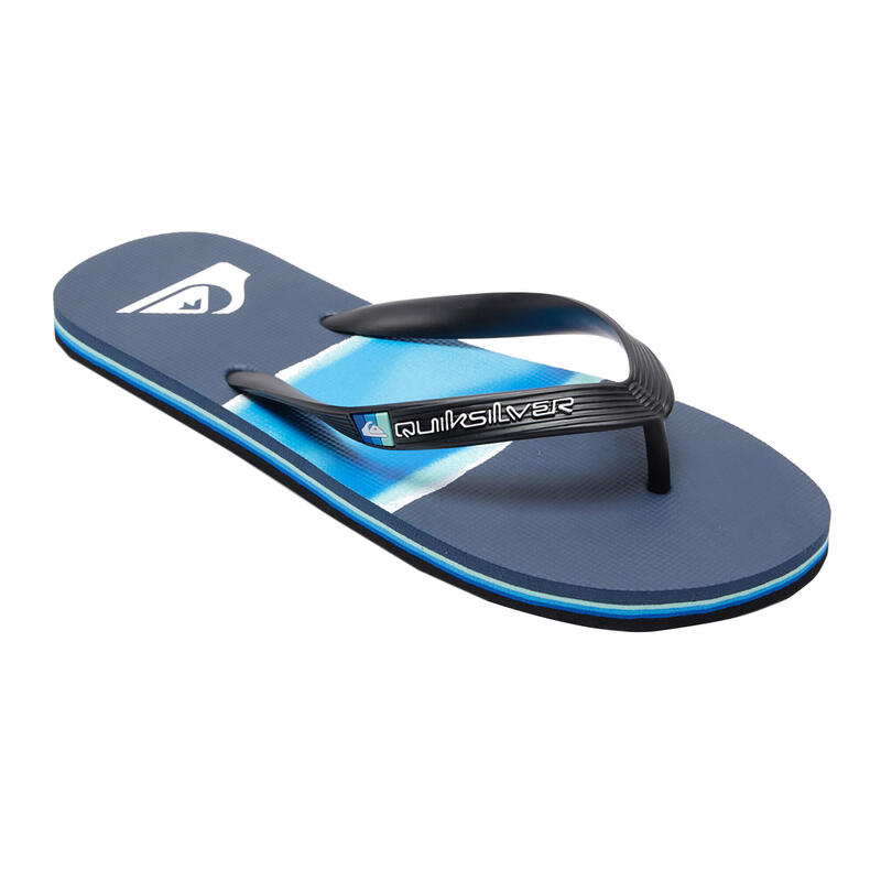 Quiksilver Molokai Airbrush-teenslippers voor heren