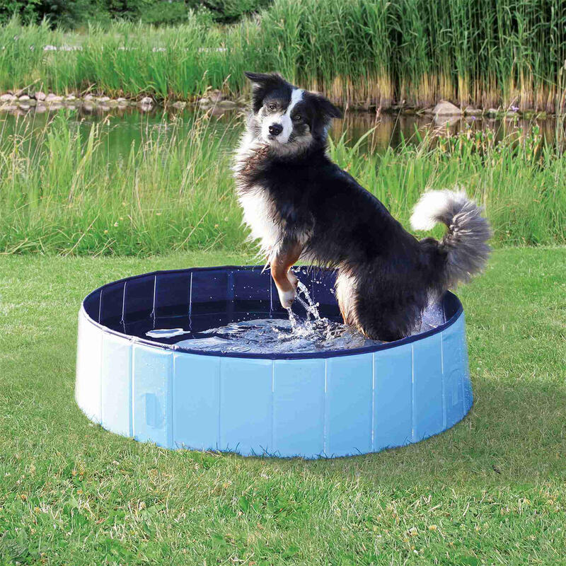 Piscina para Perros Azul Oscuro-Azul ø80 × 20 cm