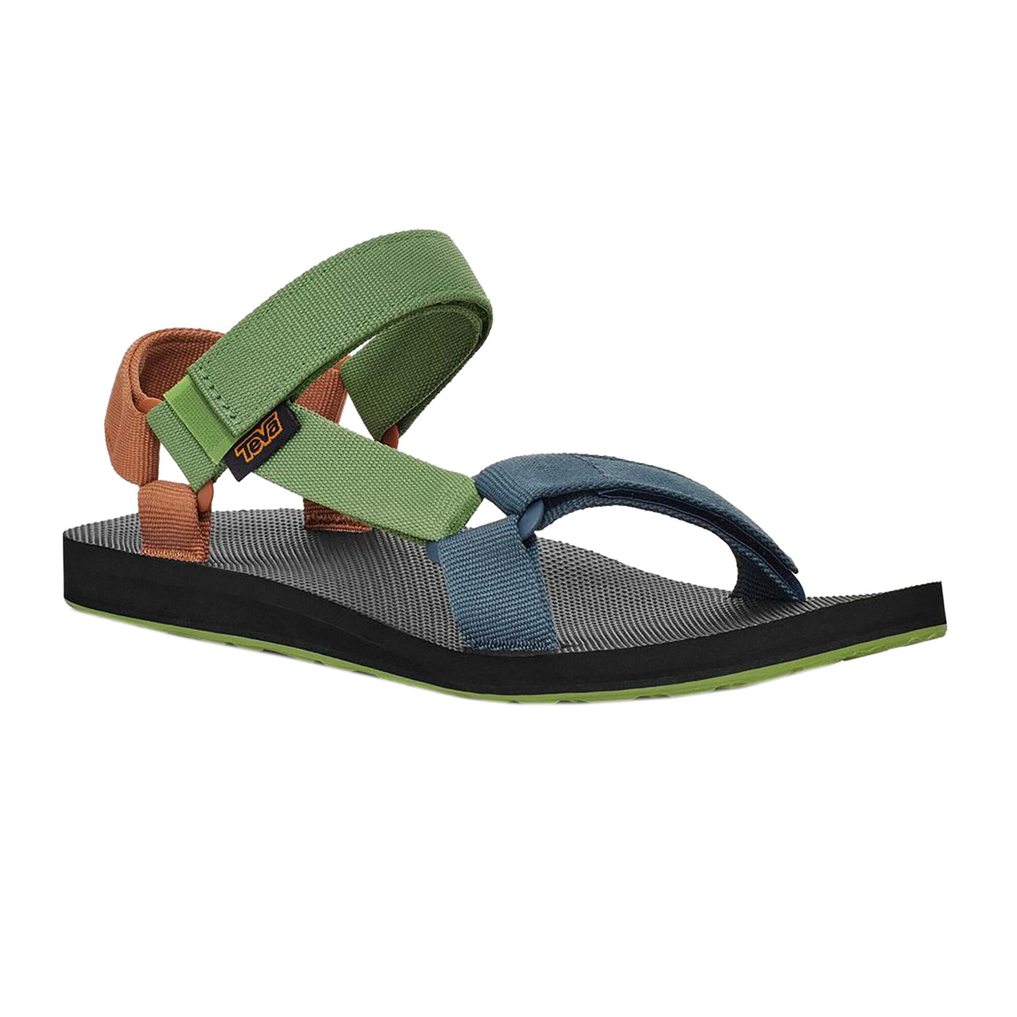 TEVA picture