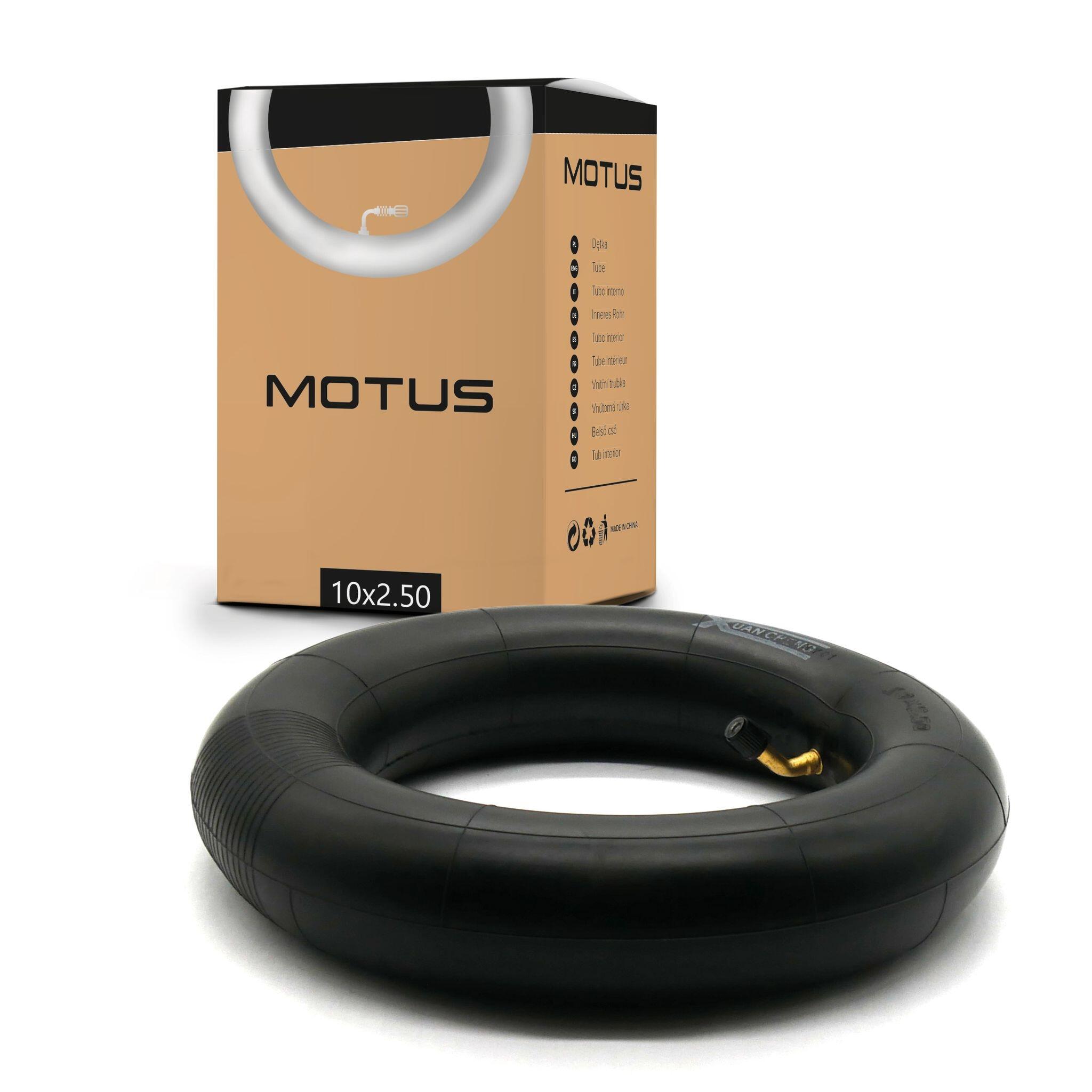 MOTUS picture