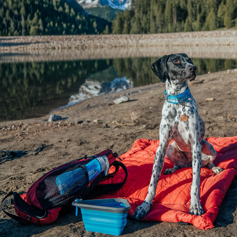 PLAID DE CAMPING POUR CHIEN