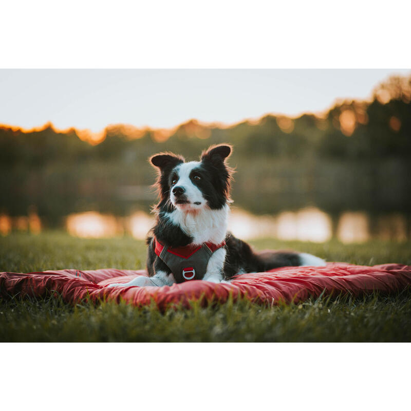 PLAID DE CAMPING POUR CHIEN