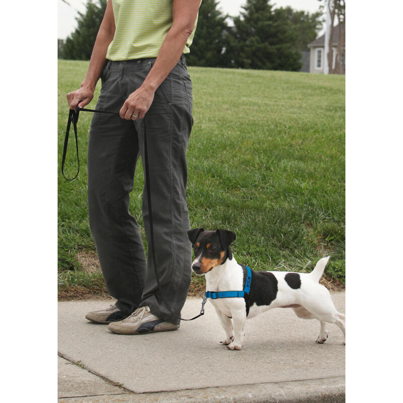 HARNAIS EASYWALK CHIEN DELUXE