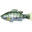 Poisson Nageur Lucky Craft Real BG 165S (Baby BG - 94g - 16,5cm)