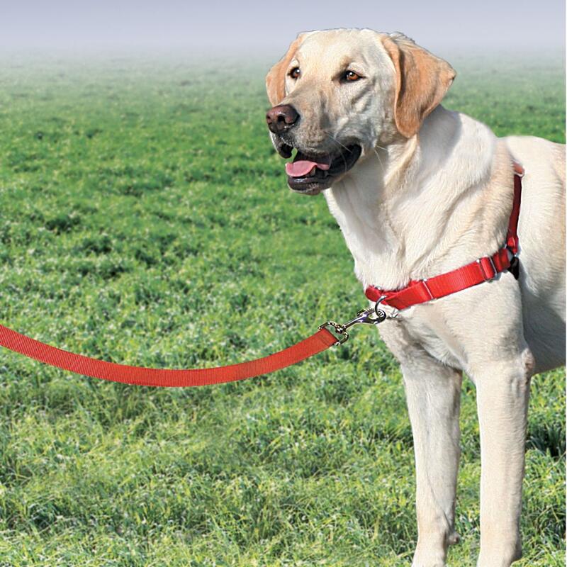 HARNAIS EASY WALK CHIEN  ROUGE