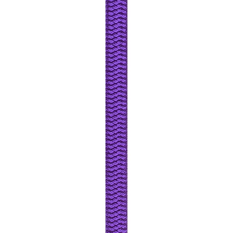 Hallenseil Wall Master VI 10.5 mm Unicore violett