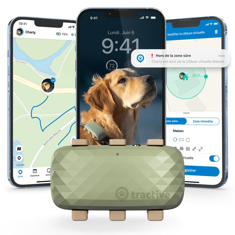 Tractive DOG XL - Collier GPS pour chien avec grande batterie - Vert