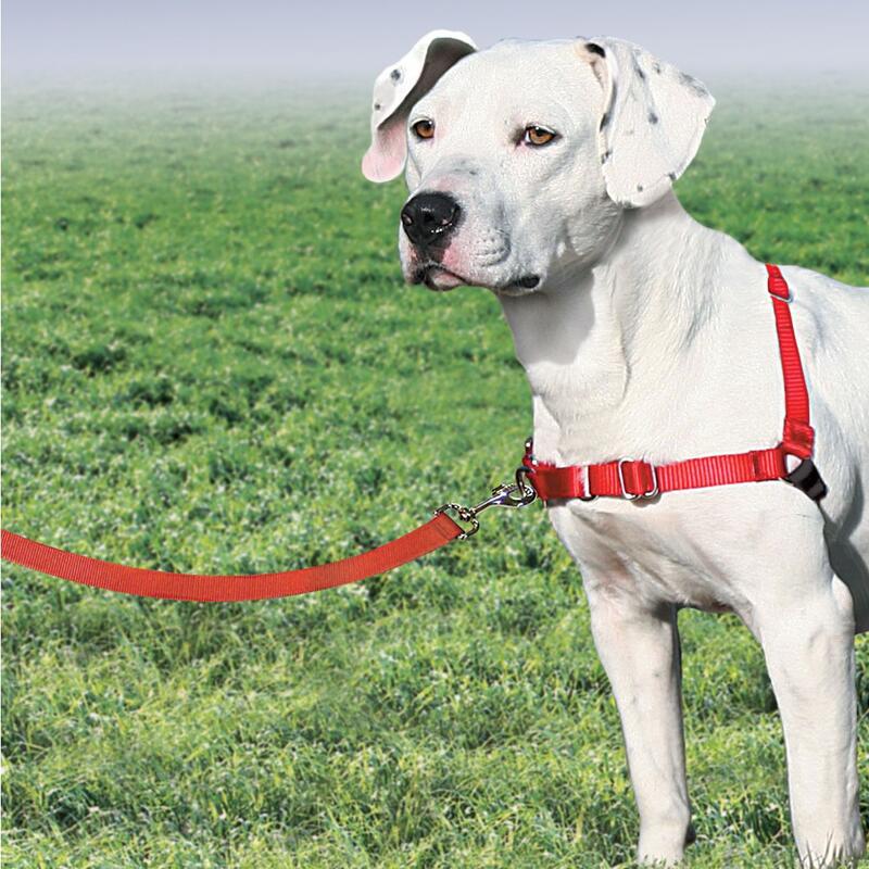 HARNAIS EASY WALK CHIEN ROUGE