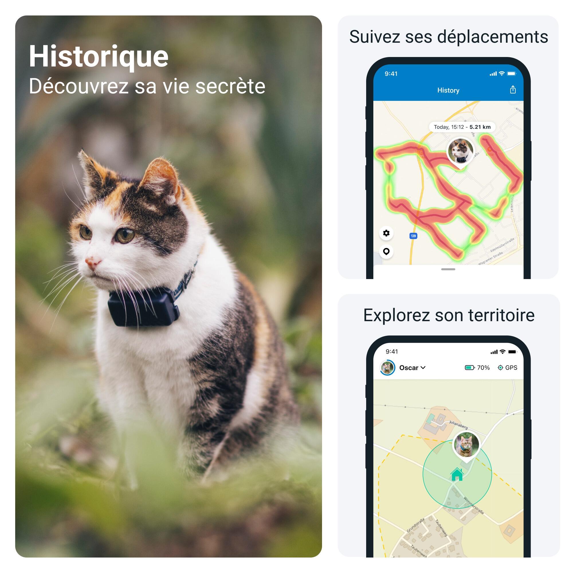 Localizador para gatos con Seguimiento de Actividad - Azul 4/7