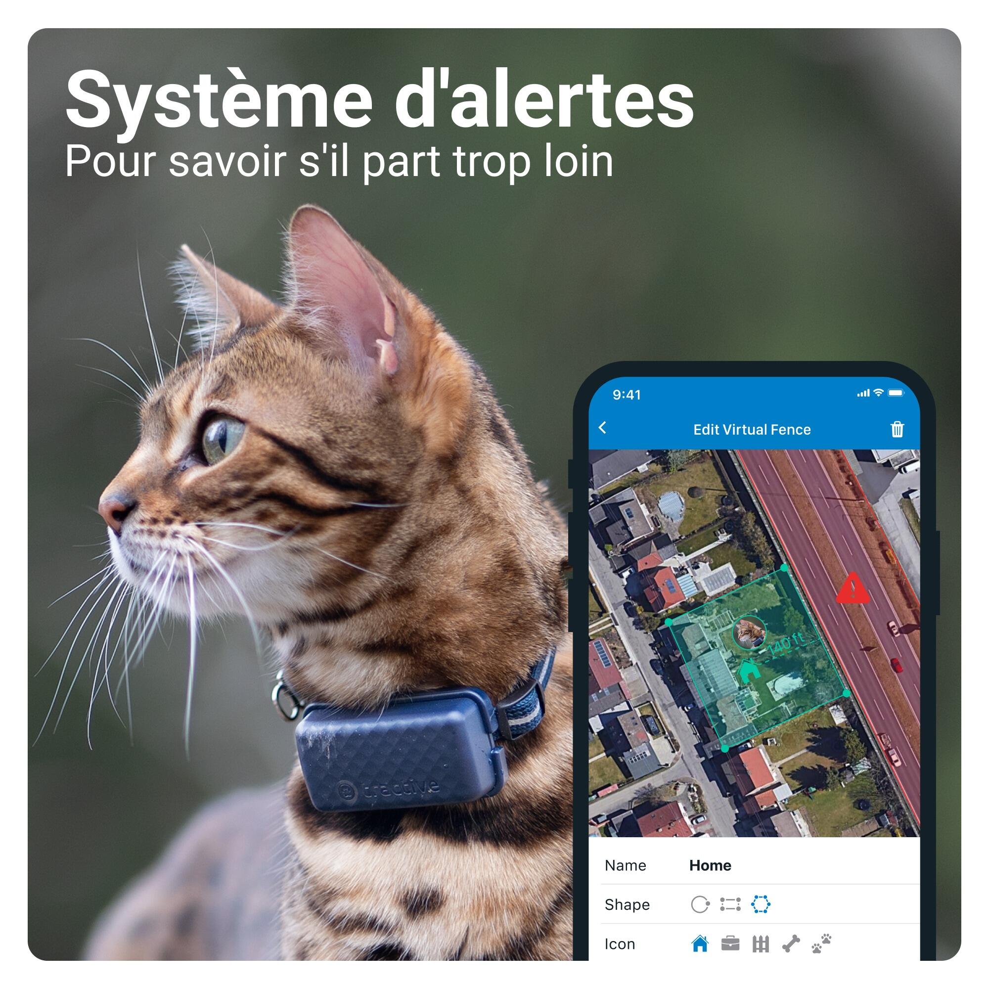 Localizador para gatos con Seguimiento de Actividad - Azul 6/7