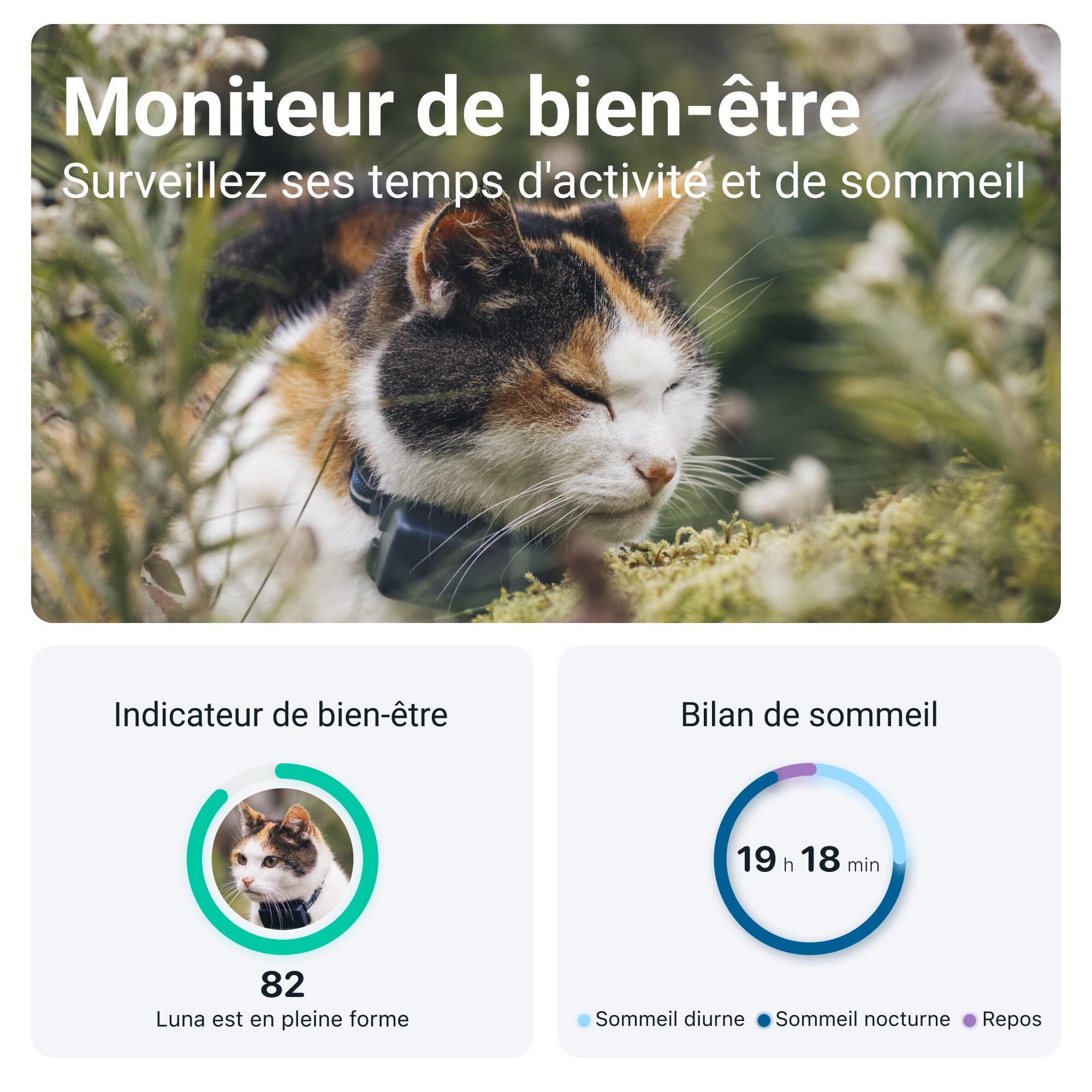 Localizador para gatos con Seguimiento de Actividad - Azul 5/7