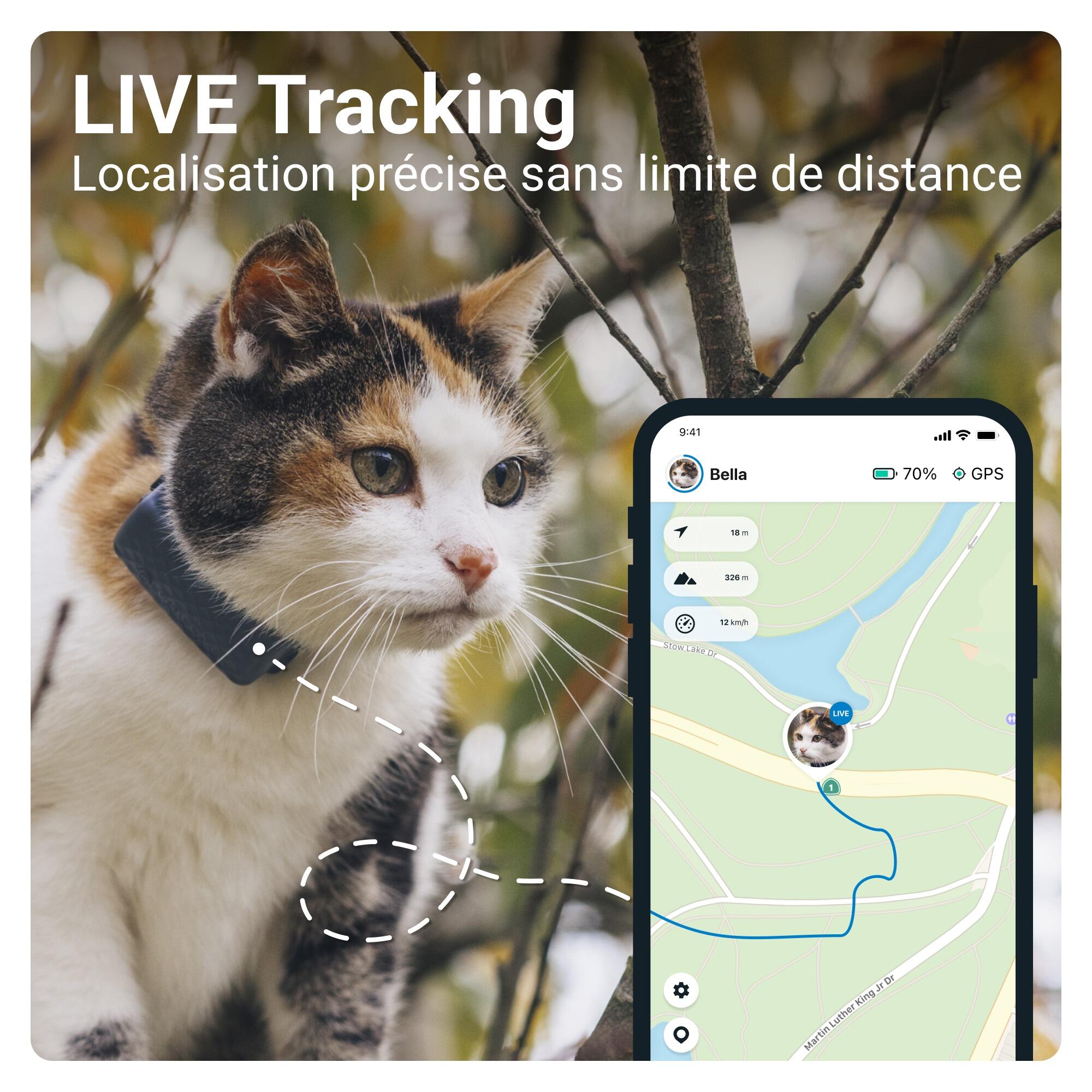 Localizador para gatos con Seguimiento de Actividad - Azul 3/7
