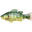 Poisson Nageur Lucky Craft Real BG 165S (Green Pumpkinseed - 94g - 16,5cm)