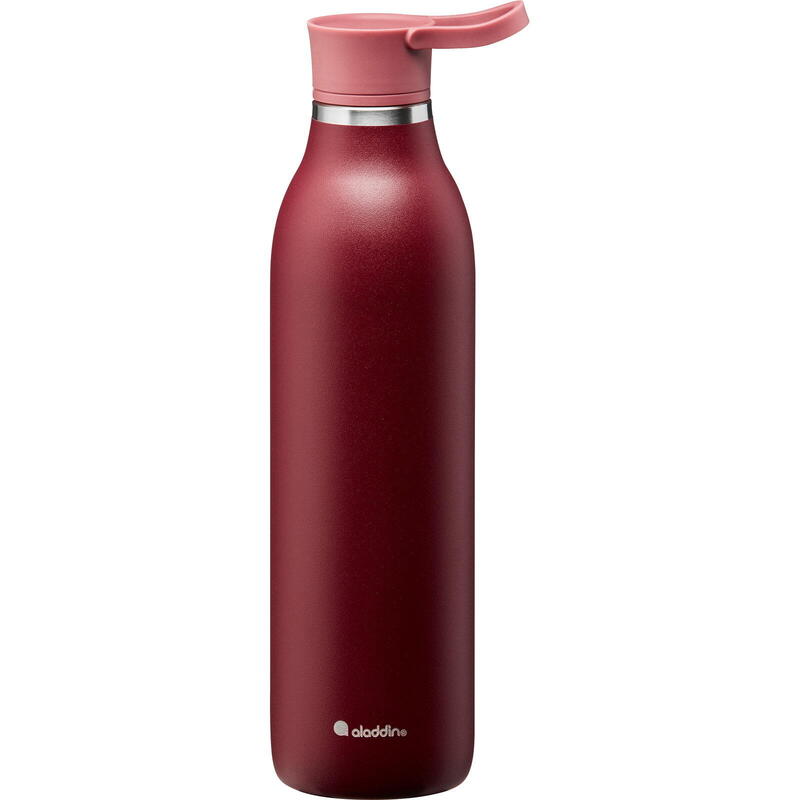 Thermo-Trinkflasche CityLoop Thermavac 600 ml salbei-grün