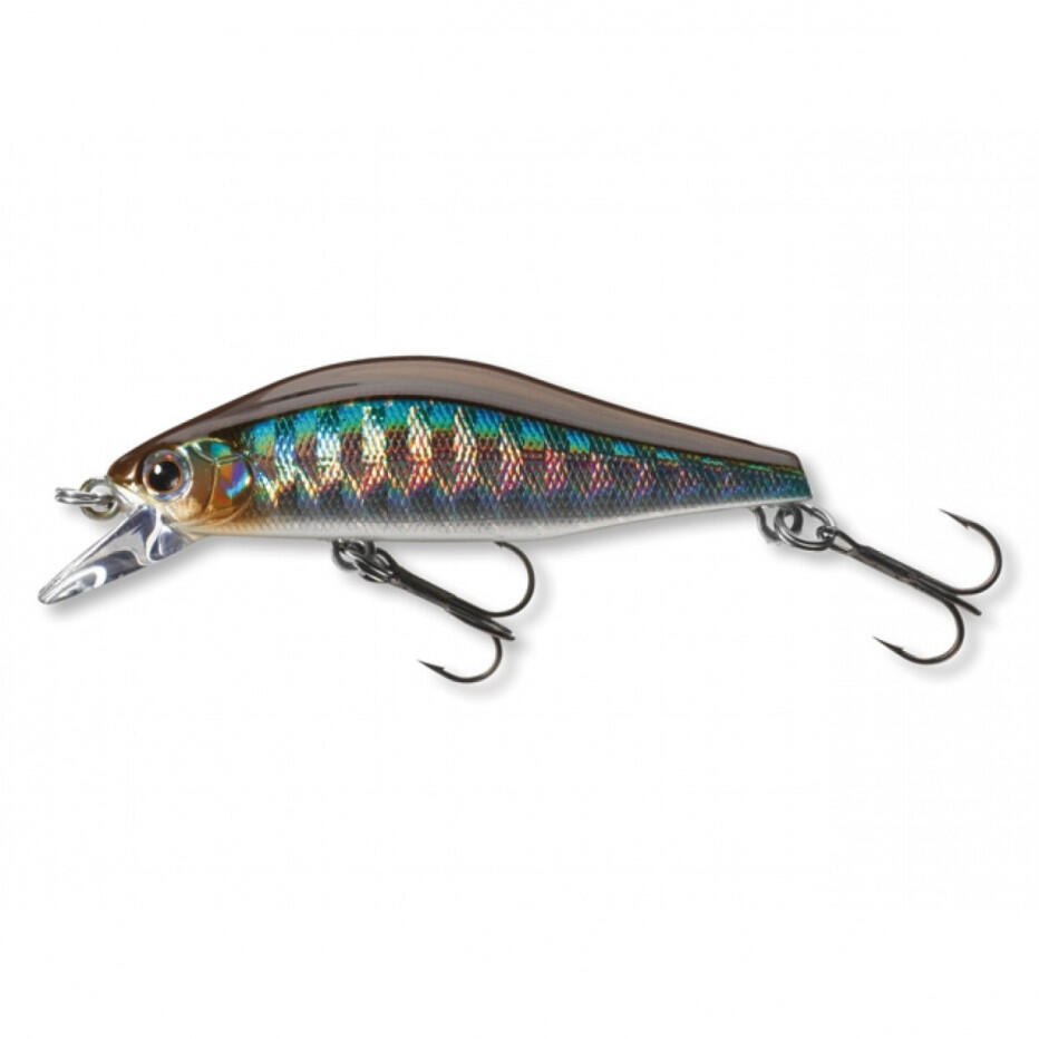 DAIWA picture