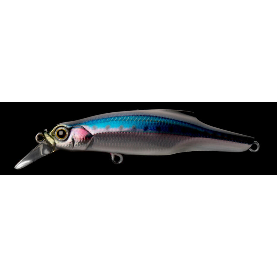 JACKSON picture