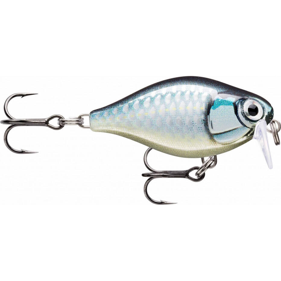 RAPALA picture