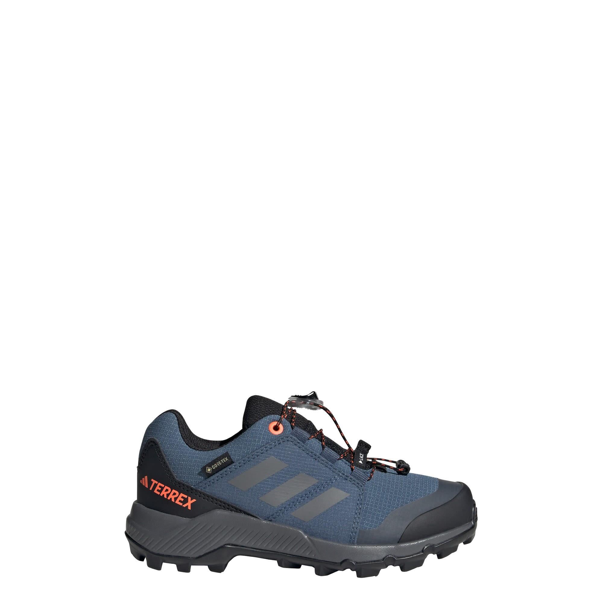 ADIDAS Terrex GORE-TEX Hiking Shoes