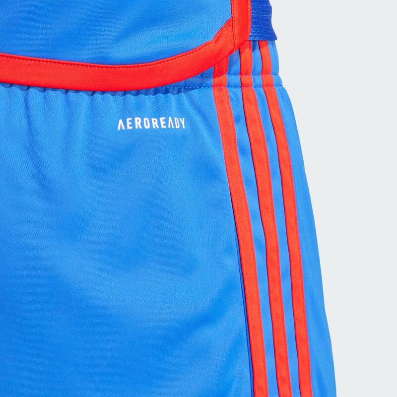 Olympique Lyon 23/24 Auswärtsshorts