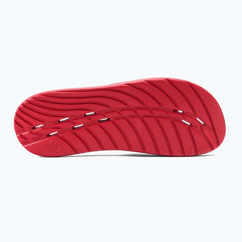Tongs Speedo Slide pour hommes