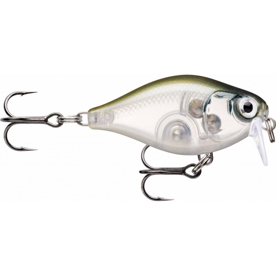 RAPALA picture