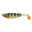 Leurre souple Berkley Sick Flanker 20cm (Transp Perch)