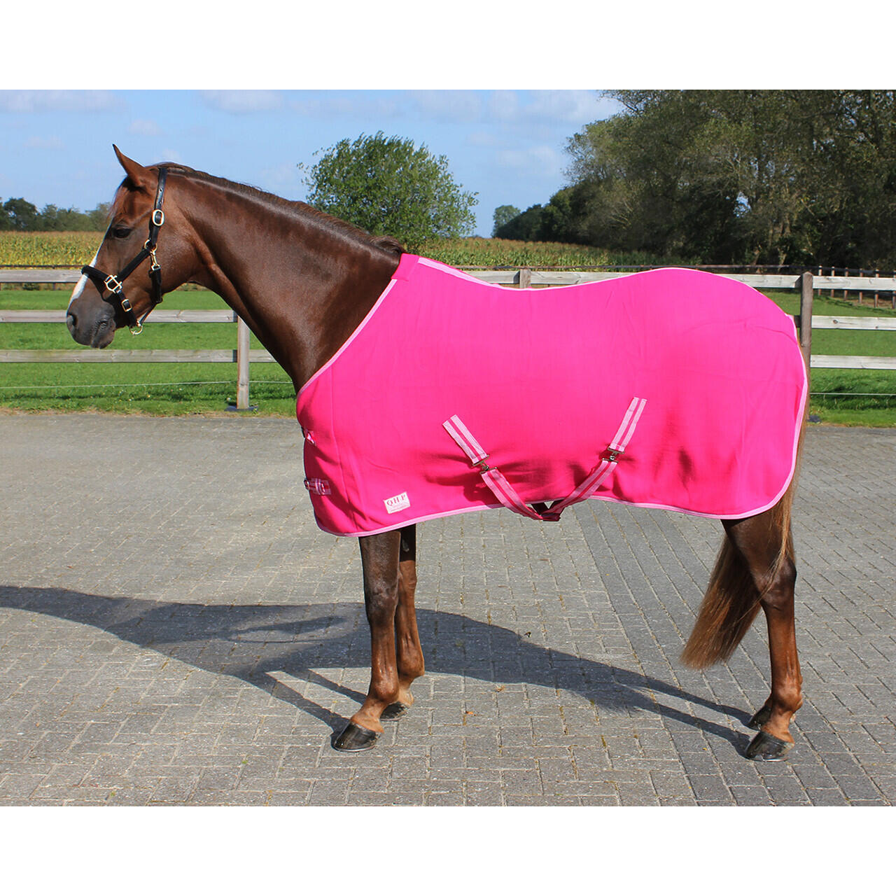QHP Fleecedeken voor paarden met riem QHP Color