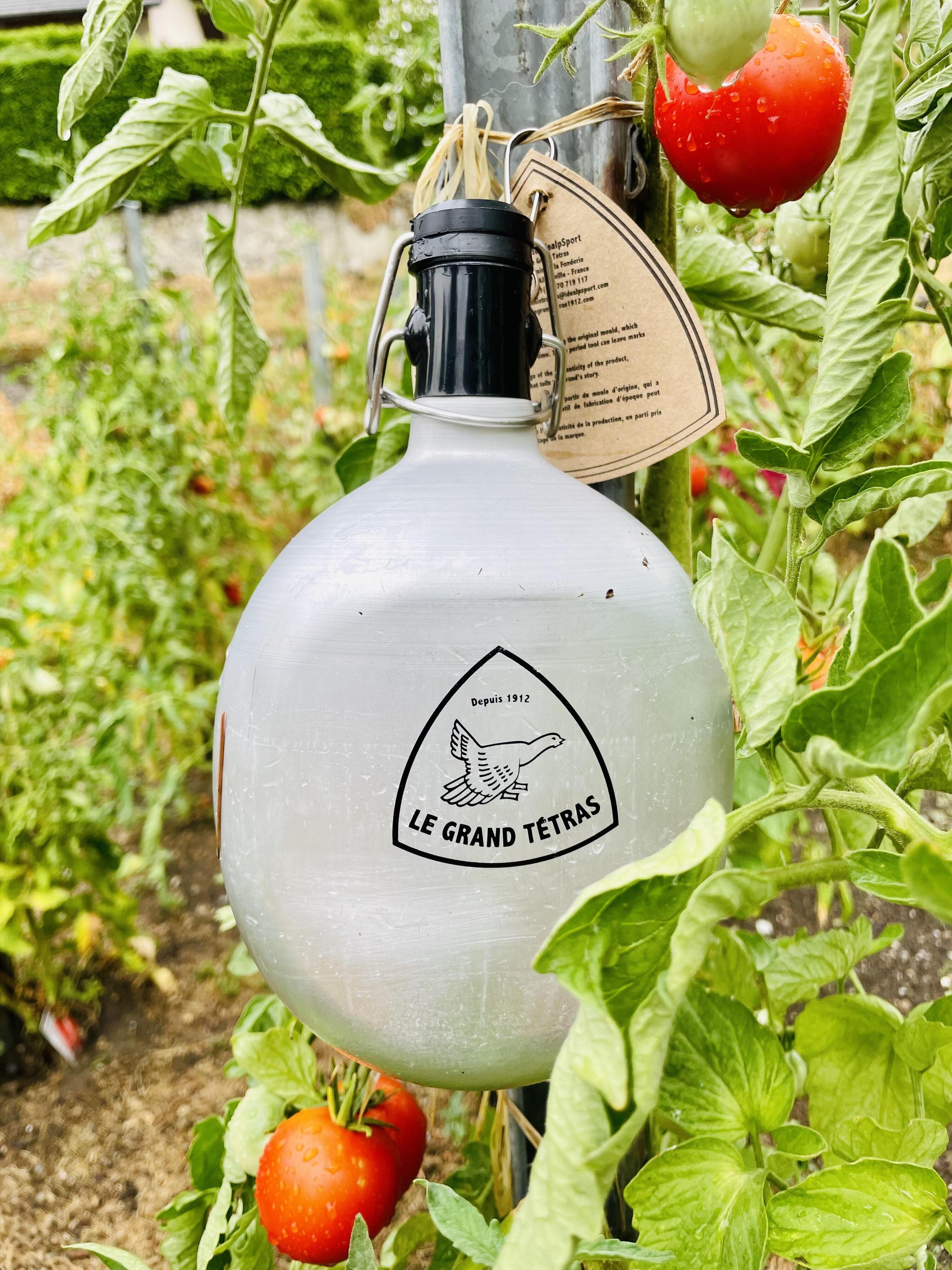La Gourde Française Ovale 1 litre - Métal en Aluminium recyclé 6/7
