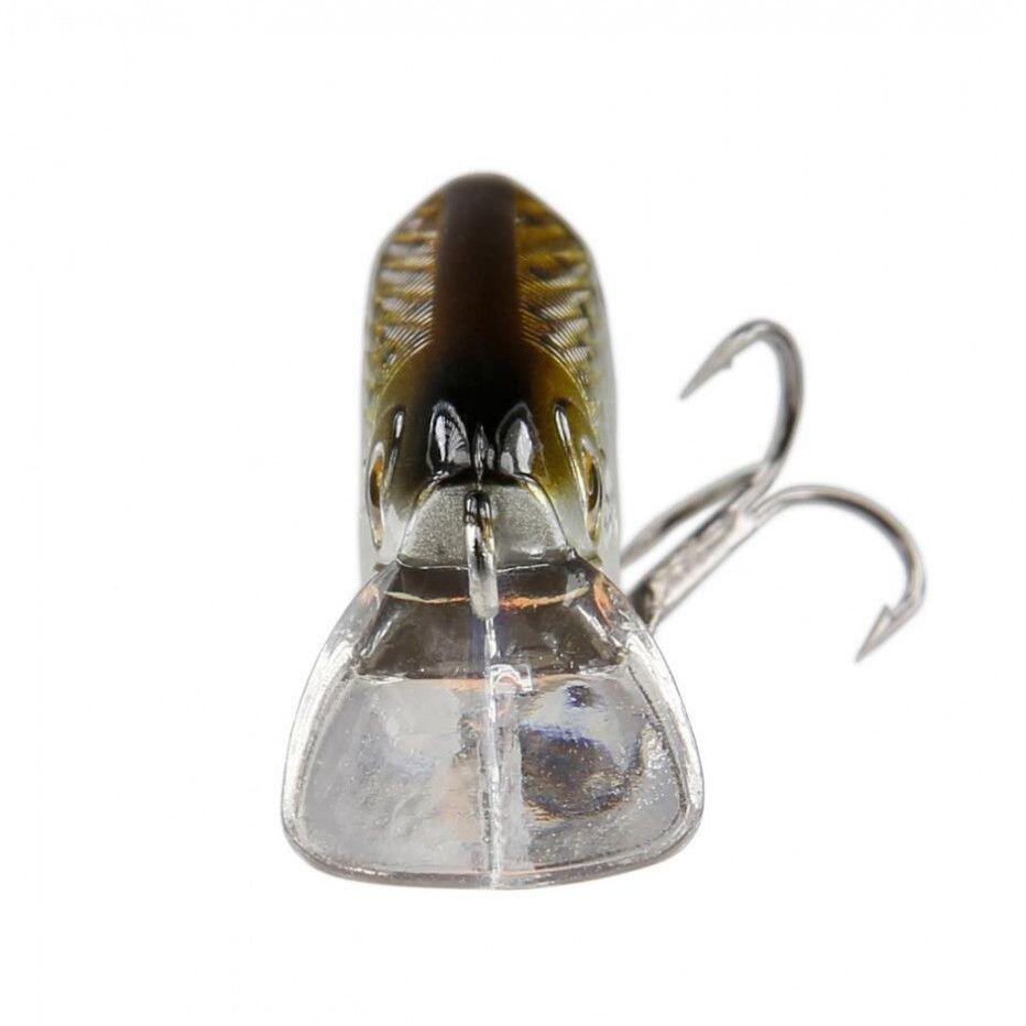 Poisson Nageur Smith D-Coax 51 (04) 2/3