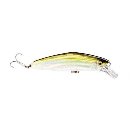 Poisson Nageur Smith D-Coax 51 (04)