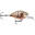 Poisson Nageur Rapala X-Light Crank Mid Runner 3,5cm (4g - PUPU - 3,5cm)