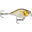 Poisson Nageur Rapala X-Light Crank Shallow Runner 3,5cm (4g - 3,5cm - AYU)