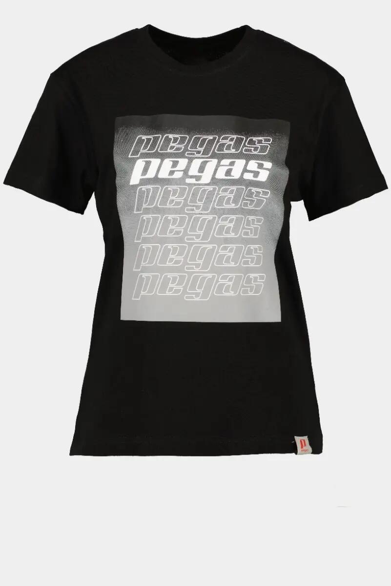 PEGAS picture