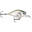 Poisson Nageur Rapala X-Light Crank Mid Runner 3,5cm (4g - GHSH - 3,5cm)