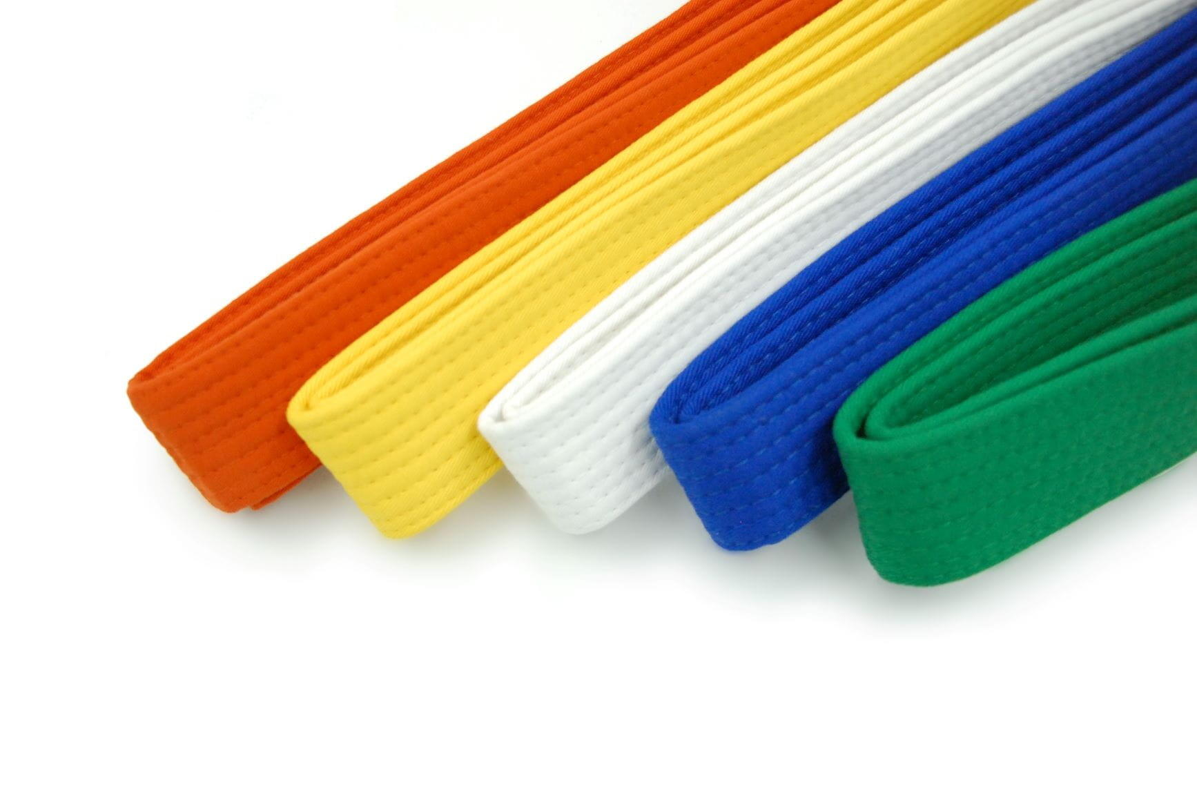 Pas do kimona Evolution Professional Equipment karate judo taekwondo 3/3