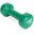 Vinyl Dumbbell Pro - 2 kg - Groen