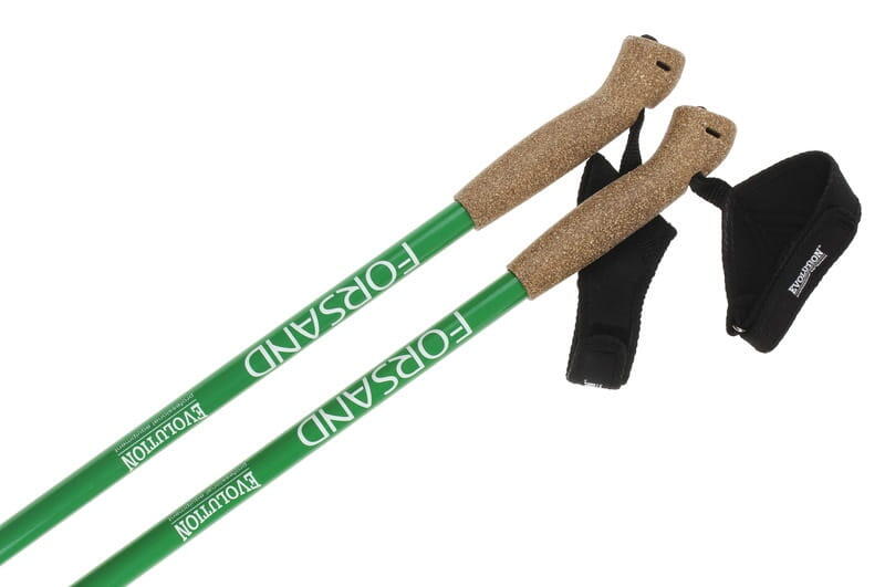 Kije trekkingowe Evolution Professional Equipment Forsand Carbon 3/3