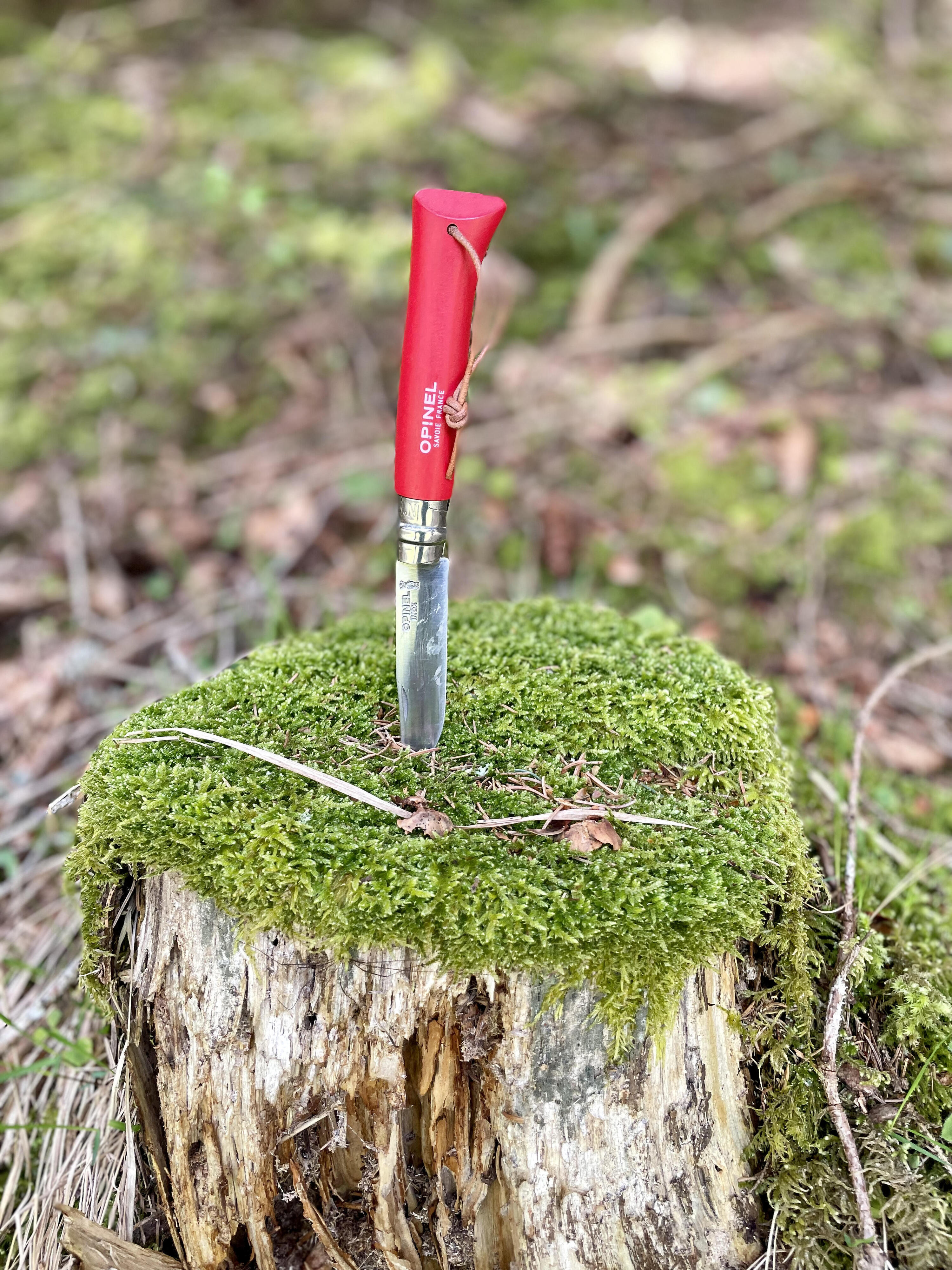 Le lot Baroudeur 1 Gourde Le Grand Tétras plus un Opinel n°= 8 3/7