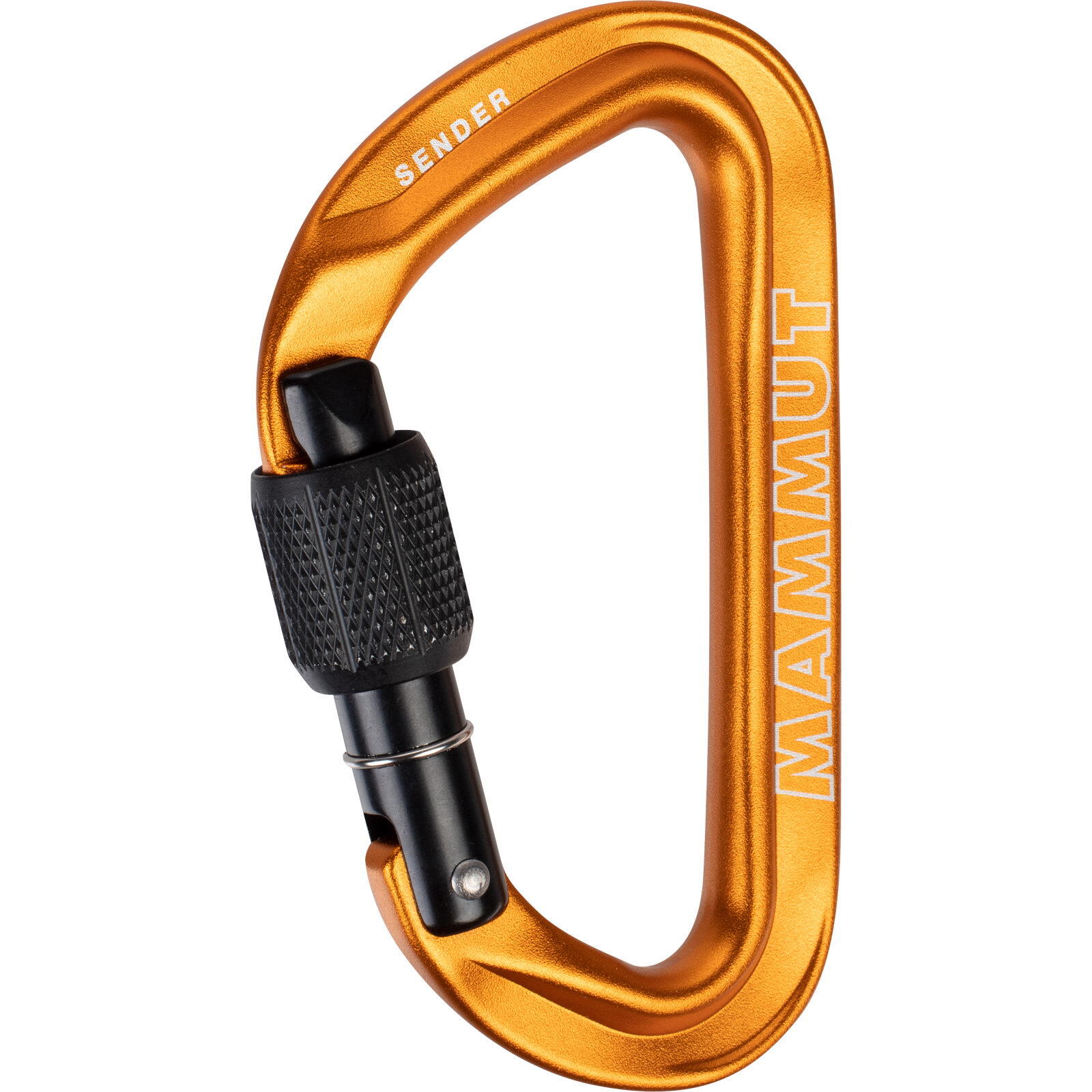 MAMMUT picture