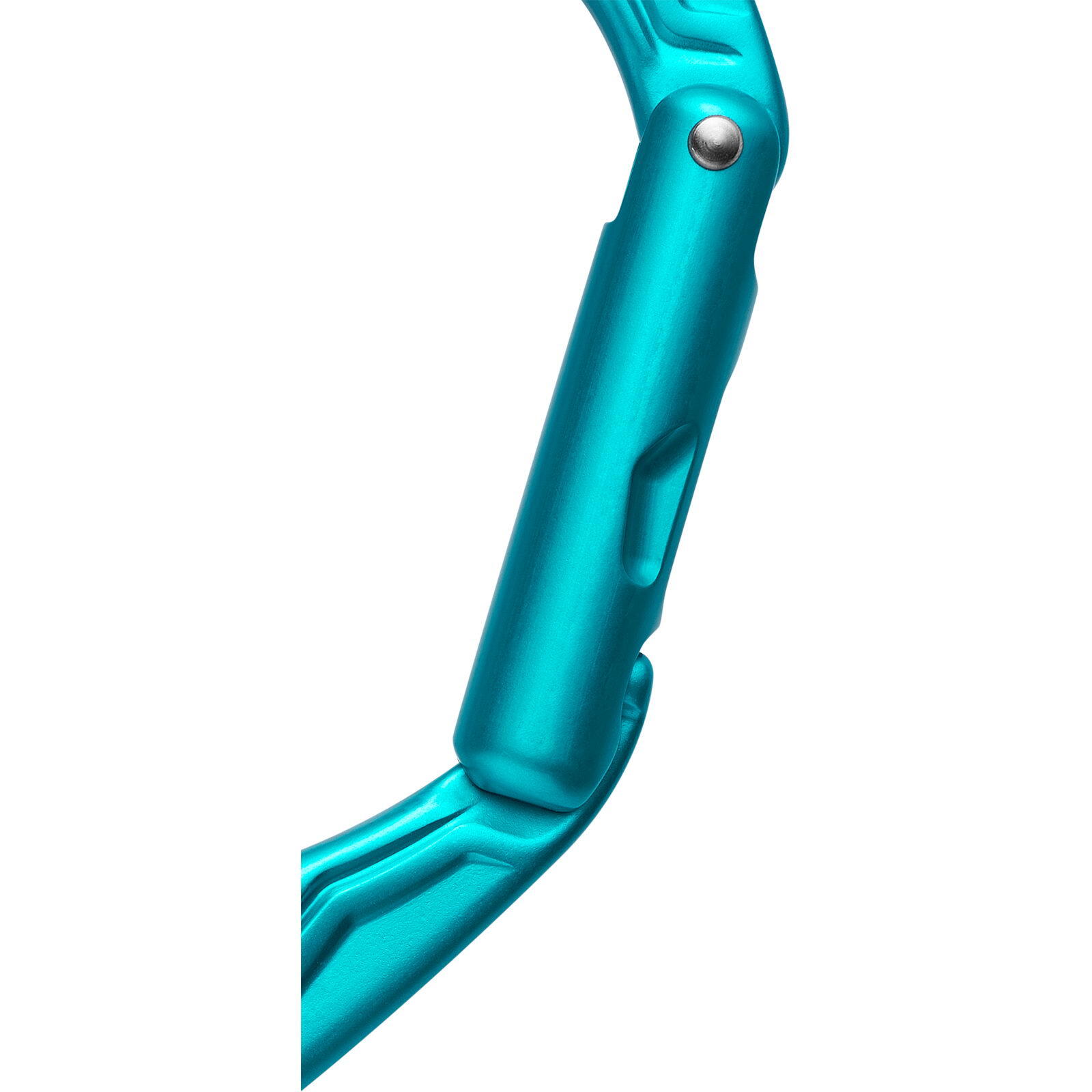 Kletterkarabiner Edelrid Axiom-Icemint 2/5