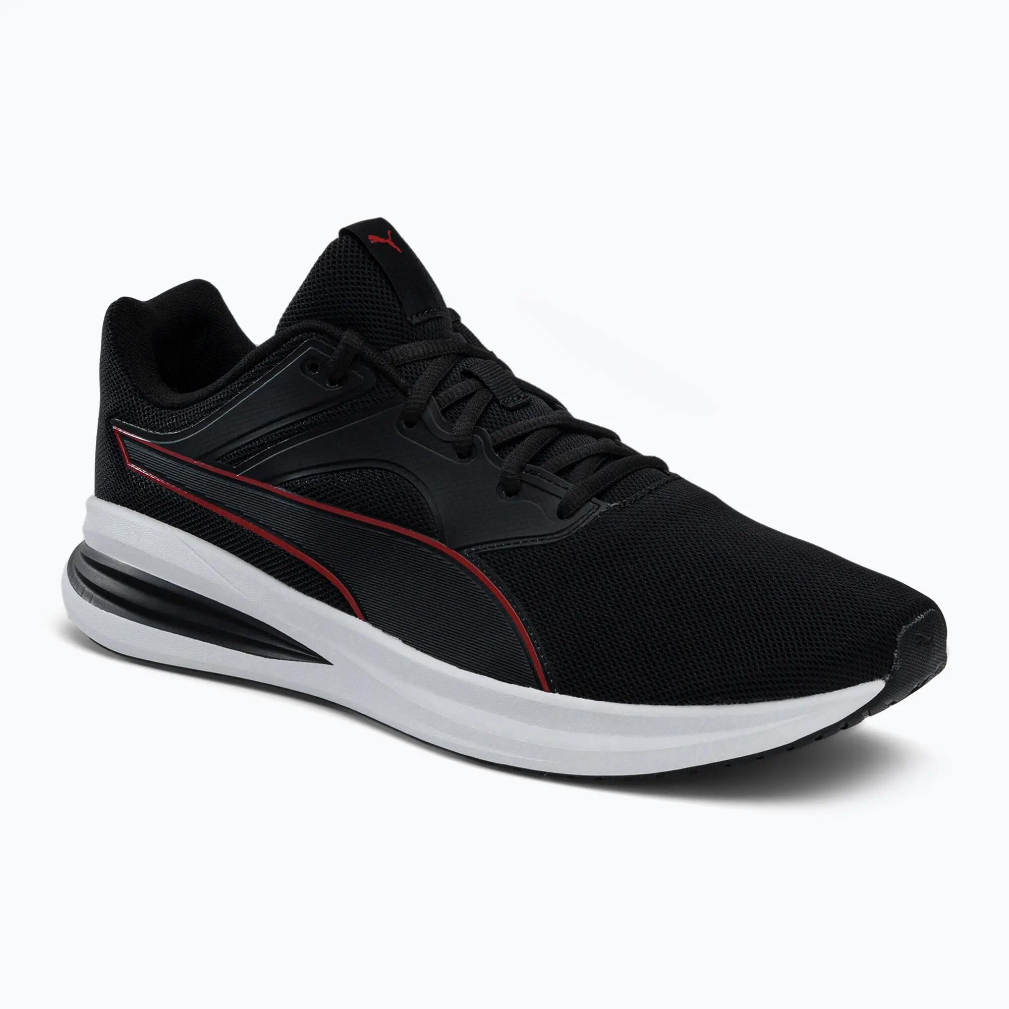 PUMA picture